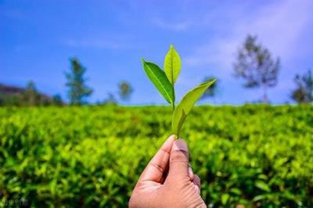 告诫自己该清醒的句子，献给迷茫的人的30句说说
