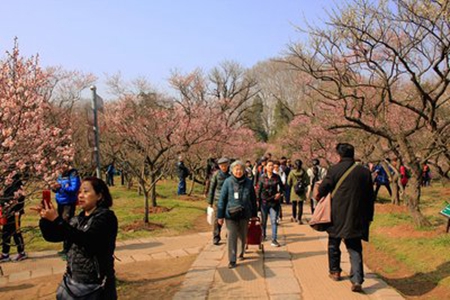 适合踏青发朋友圈的句子，2022春季外出散心的说说