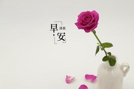 最真诚的早安问候语句子，早上好的暖心说说