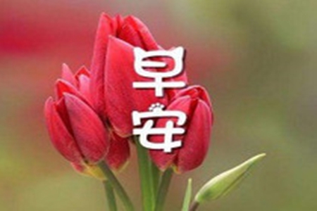 最真诚的早安问候语句子，早上好的暖心说说
