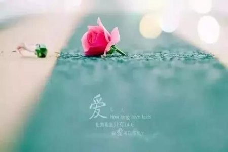 唯美到心碎的简短句子，文艺到爆炸的神仙说说