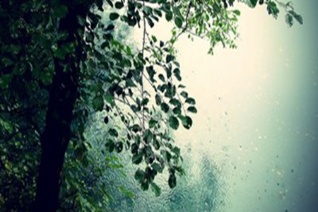 2022最火的下雨说说，表示雨水温柔的文案句子