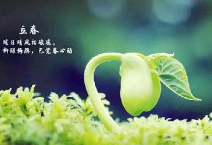 备战高考励志短句