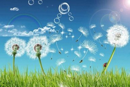 形容时间过得很快的优美句子，感叹时光飞逝的50句文案