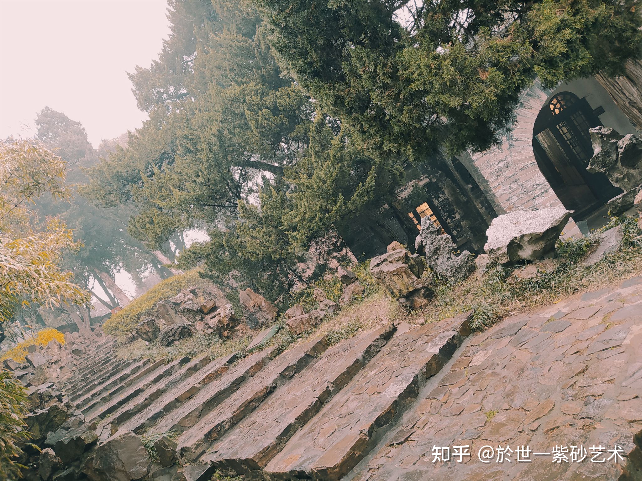 梅苑色����