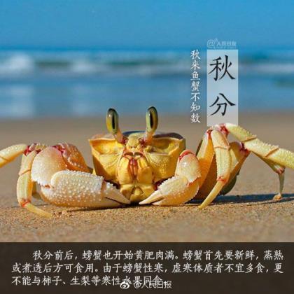 2021奋斗实现梦想的句子 有关梦想的励志句子