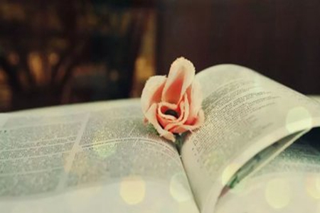 形容自己读书少的说说，后悔没认真完成学业的句子