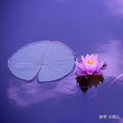 心湖倒影（诗歌）