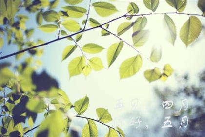心碎到撕心裂肺的句子发朋友圈