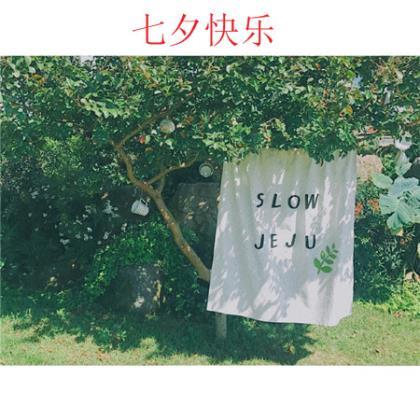 男人励志说说心情短语 春风马蹄病，一日见长安百花