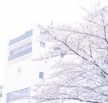 人生感悟的句子发朋友圈元旦