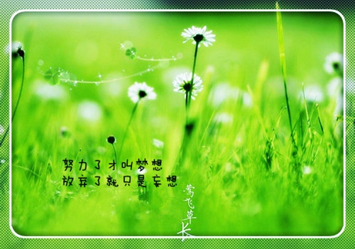 心态正能量的话励志的语句(45句)