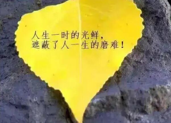 励志的句子经典语句100字左右 致自己平凡的生活