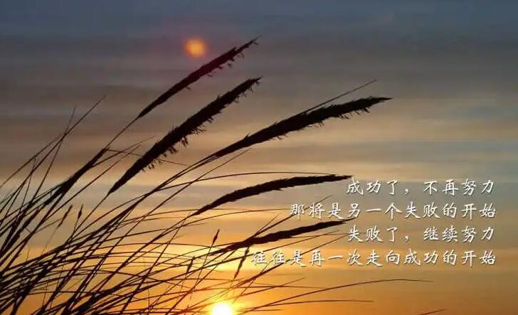 励志的句子经典语句100字左右 致自己平凡的生活