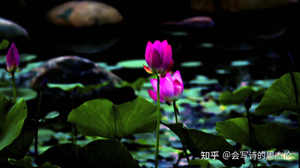 四时——为别时记