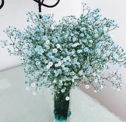 励志的句子致自己霸气 越努力越幸运励志句子