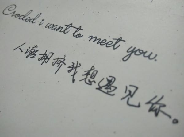 你读过的最美的诗句是哪句