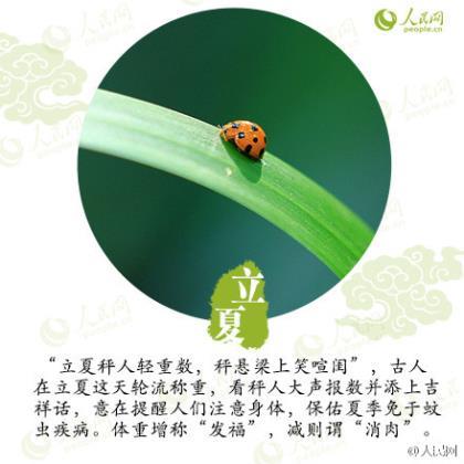 森系分组简单干净 头像女生简单气质森系