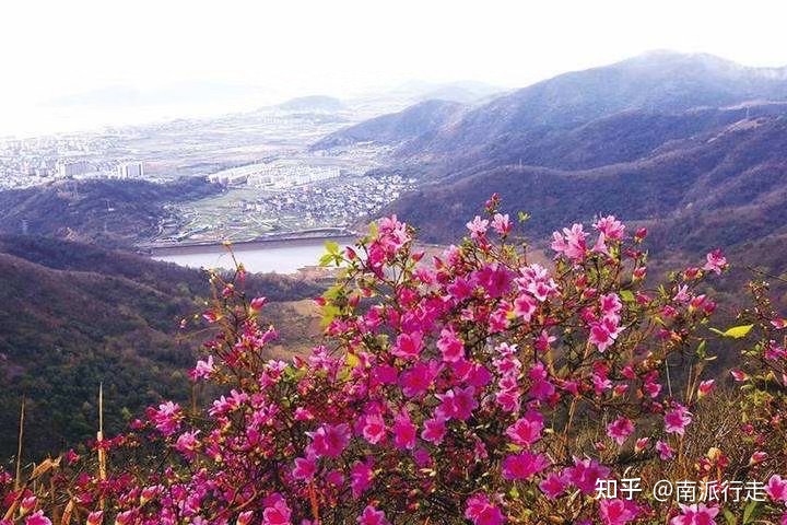 《清秋》
