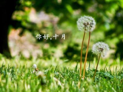 朋友圈简单干净的句子 朋友圈干净短句