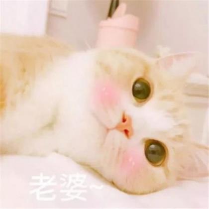 胖子励志减肥说说心情