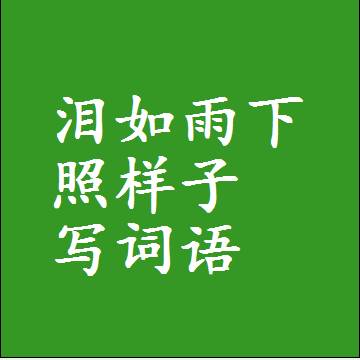 泪如雨下照样子写词语，结构一样的成语