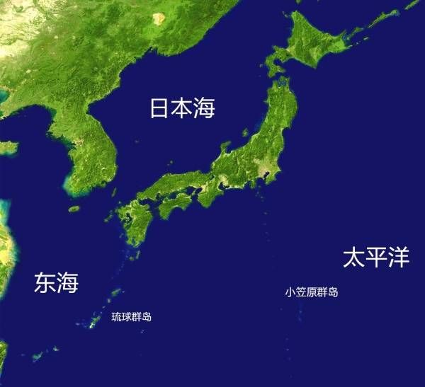 江淳：栽上一棵树造一个天然氧吧