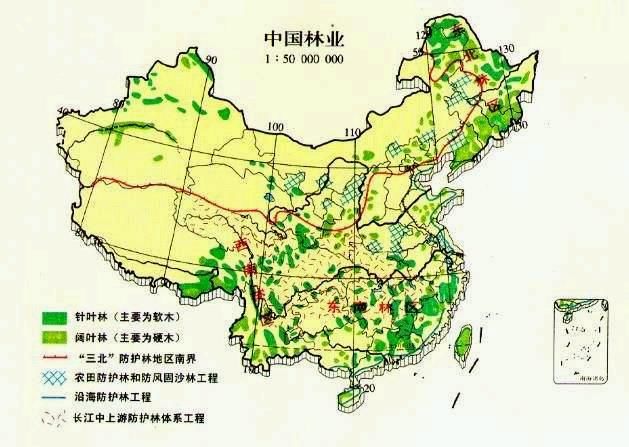江淳：栽上一棵树造一个天然氧吧
