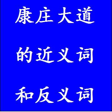 康庄大道的近义词和反义词标准答案