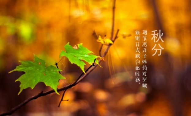秋分祝福语