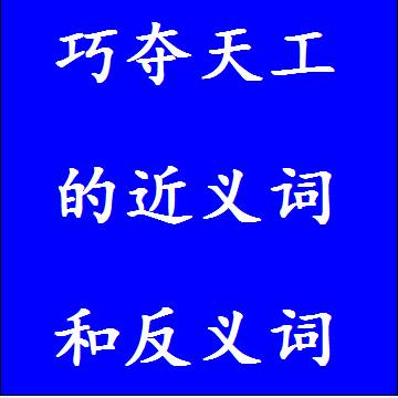 巧夺天工的近义词和反义词标准答案