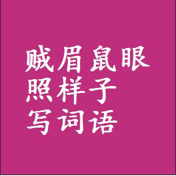 贼眉鼠眼照样子写词语和成语