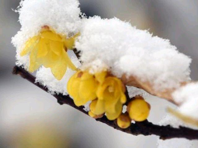 茶情感文案(户外茶会文案)