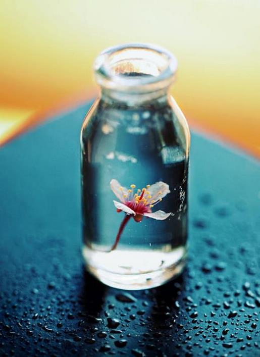 是和发朋友圈励志说说 九月十日是传统的教师节