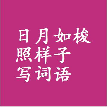 日月如梭照样子写词语