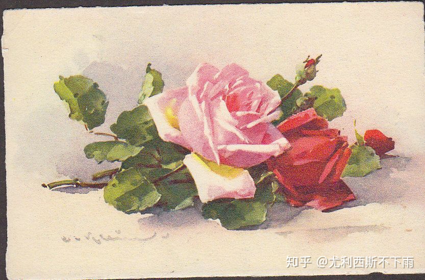 英文诗选赏析 | A Red Red Rose