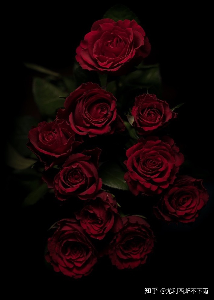 英文诗选赏析 | A Red Red Rose