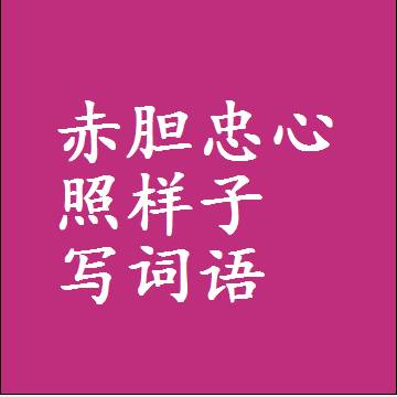 赤胆忠心照样子写词语，结构一样的近义词同义词