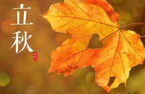 立秋唯美的句子摘抄28句