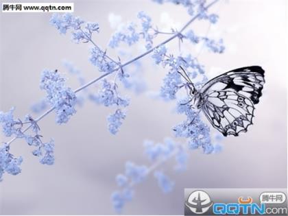 阳光温热岁月静好适合女生发说说 适合发的签名说说
