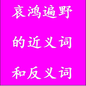 哀鸿遍野的反义词和近义词