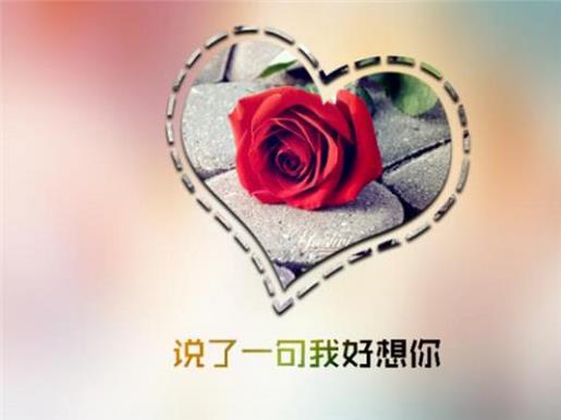 描写春天的句子和词语 逆境总在那里，人生总有一场进攻