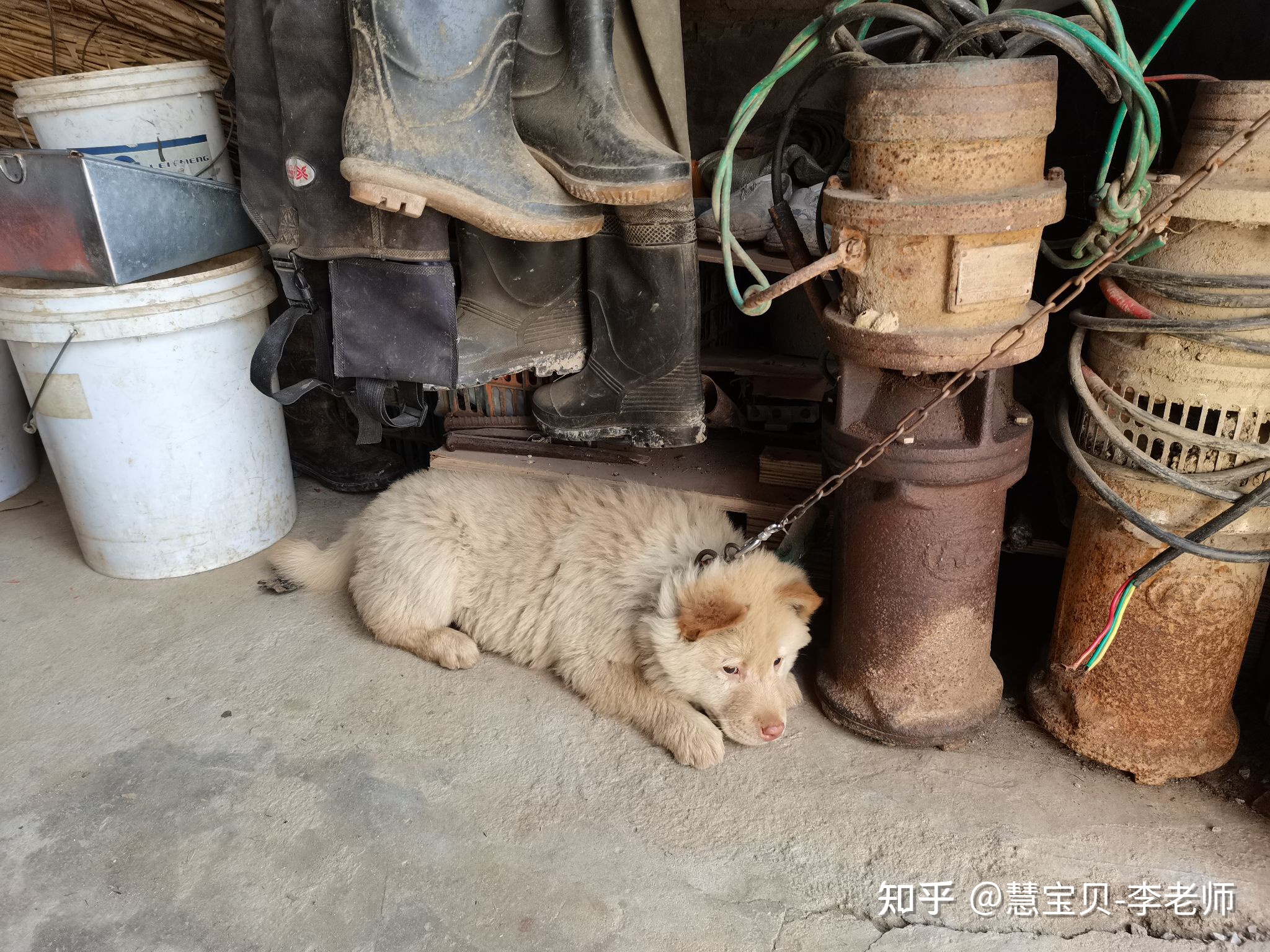 诗歌《台山老屋》