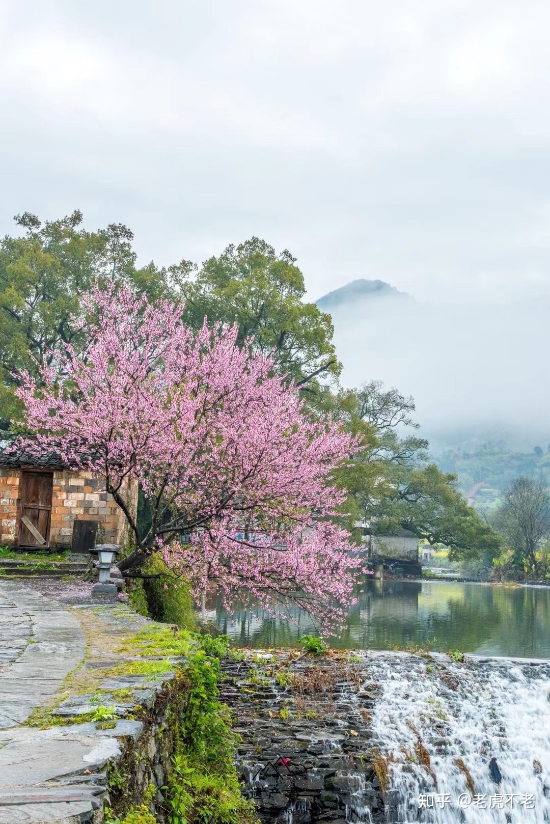 沙尘暴
