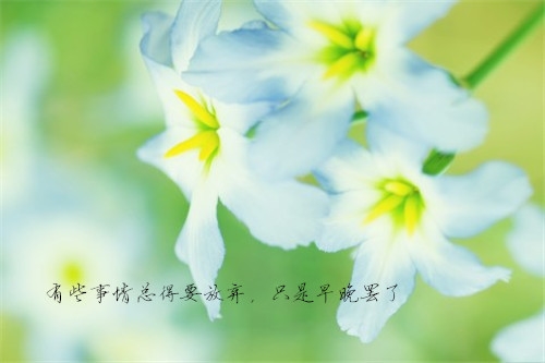 张爱玲书中的优美句子摘抄(51句)