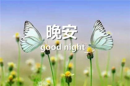 厨师励志文章