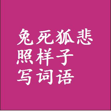 兔死狐悲照样子写词语，意思相近差不多的近义词