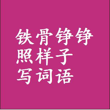 铁骨铮铮照样子写词语，结构一样的成语