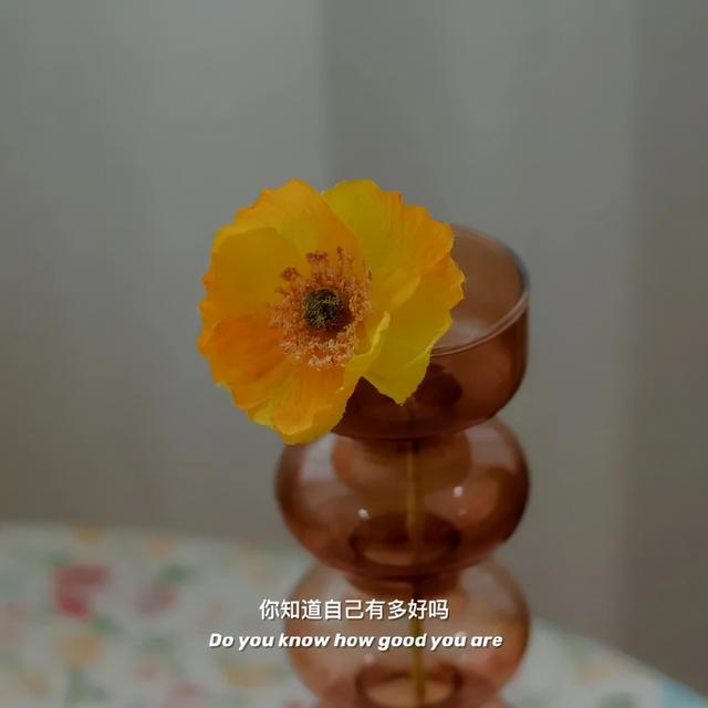 情感文案生活不是为了钱(人活着就是为了钱)