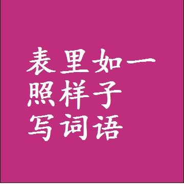 表里如一照样子写词语，结构一样的成语